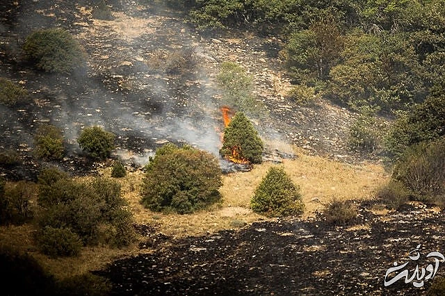 "ملکه ایران" سیاه بخت شد